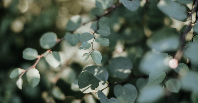 Massage Therapy - Hot stone massage